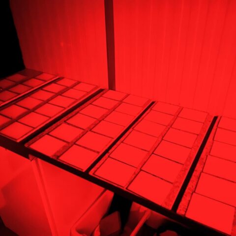 481207370_1125503689321442_6004765856408700649_n