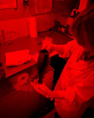 482239700_1136706184867859_1211716057670010950_n