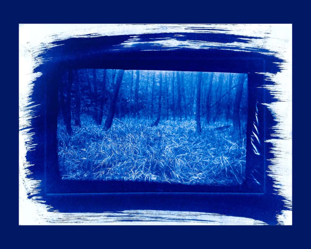 Cyanotype-contact-printing