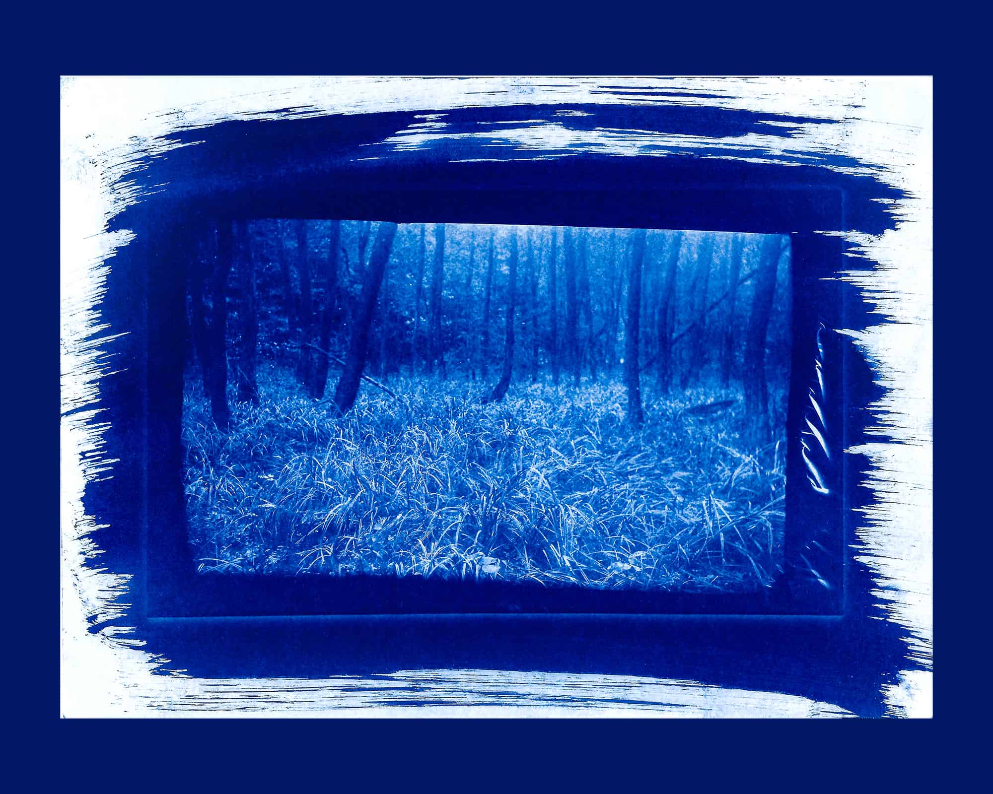 Cyanotype-contact-printing