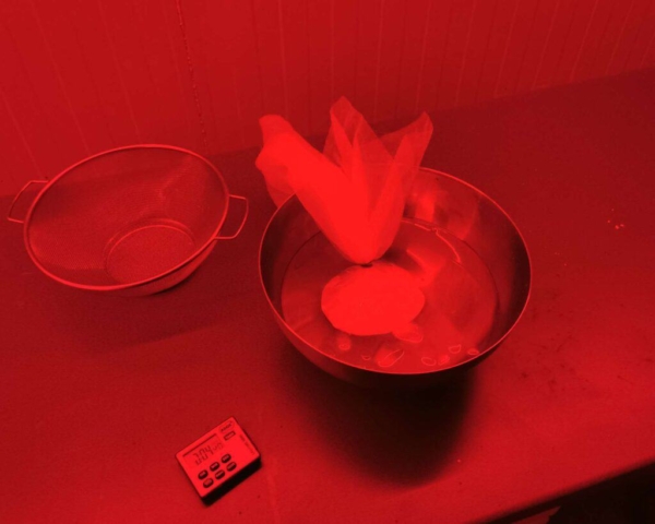 How to make photographic emulsion-22