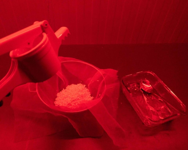 How-to-make-silver-gelatine-emulsion-5