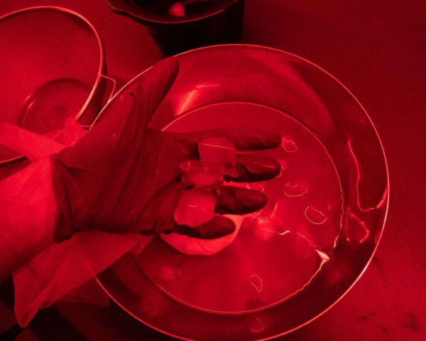 How-to-make-silver-gelatine-emulsion-7