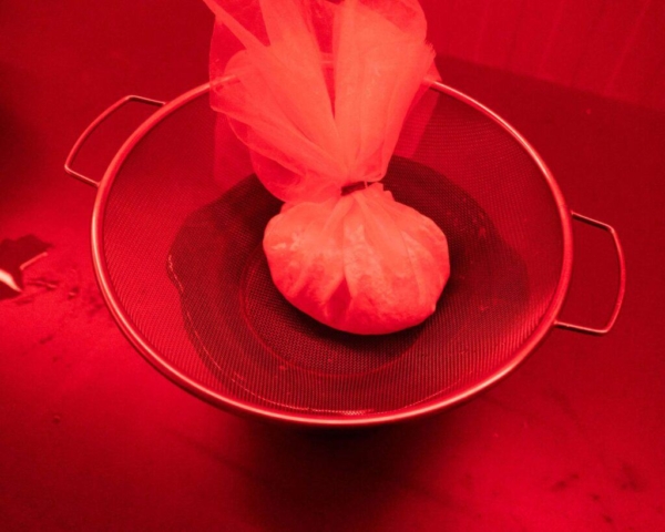 How-to-make-silver-gelatine-emulsion-9