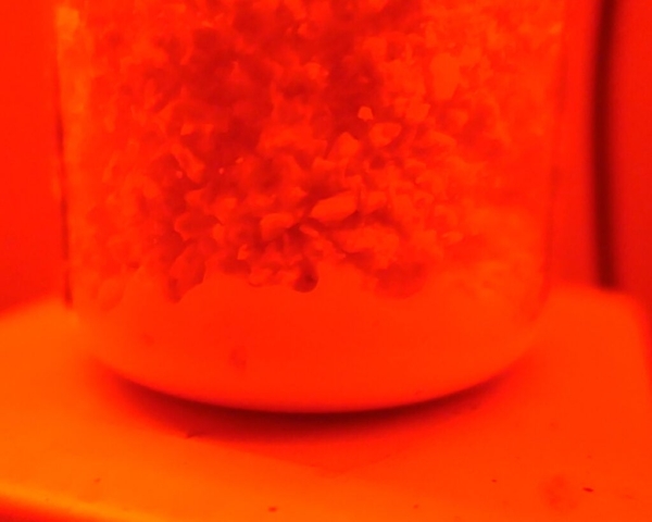 Silver-gelatine-emulsion-recipe-10