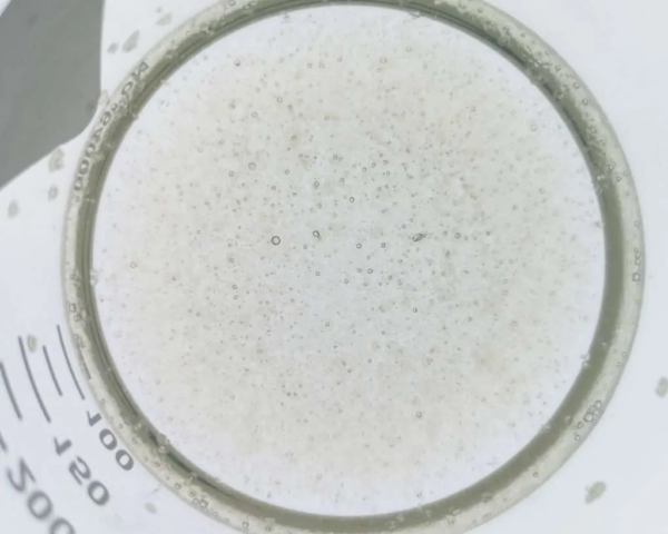 How-to-make-photographic-emulsion-7-1024×819-1