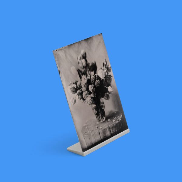 Zebra 5x7 Tintype Plate Stand (Bundle of 2 or 5)