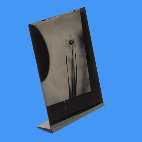 Zebra 8x10 Glass Plate Stand (Bundle of 2 or 5)