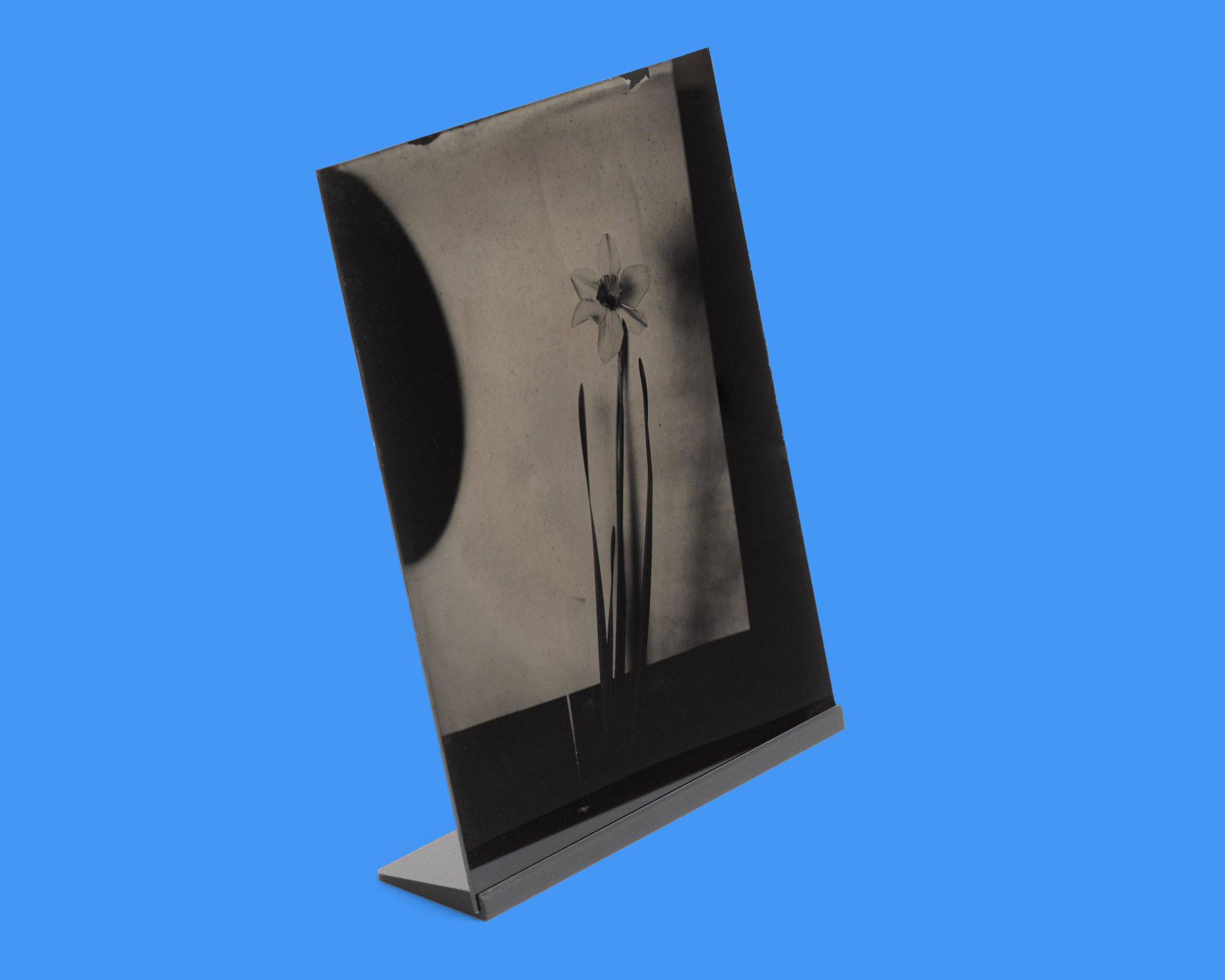 Zebra-8x10-Glass-Wet-Plate-Stand-Display