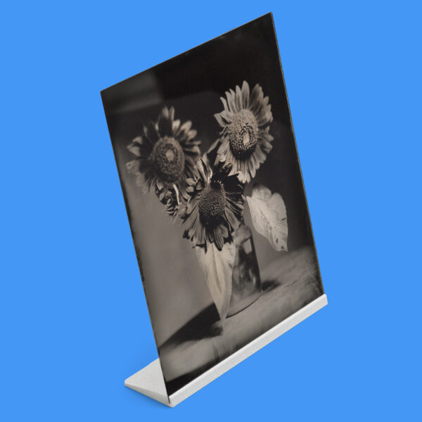 Zebra 8X10 Tintype Plate Stand (Bundle of 2 or 5)