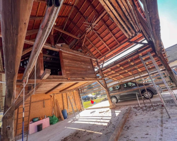 Zebra-Darkroom-Update-2-13