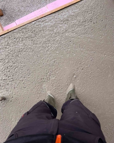 Zebra-Darkroom-Update-2-4