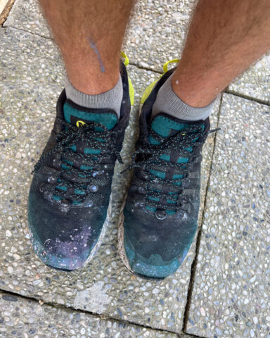 ULF-ZEBRA-DRY-PLATES-COATING