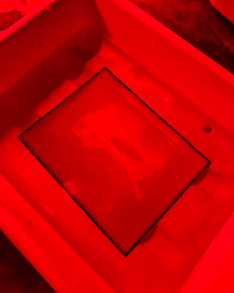 Processing-Zebra-Dry-Plate-Tintypes