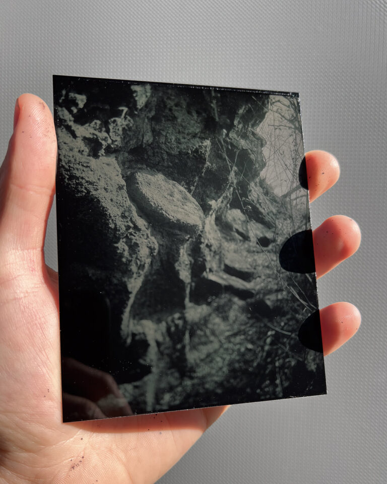 Zebra-Dry-Plate-Tintypes-troubleshooting