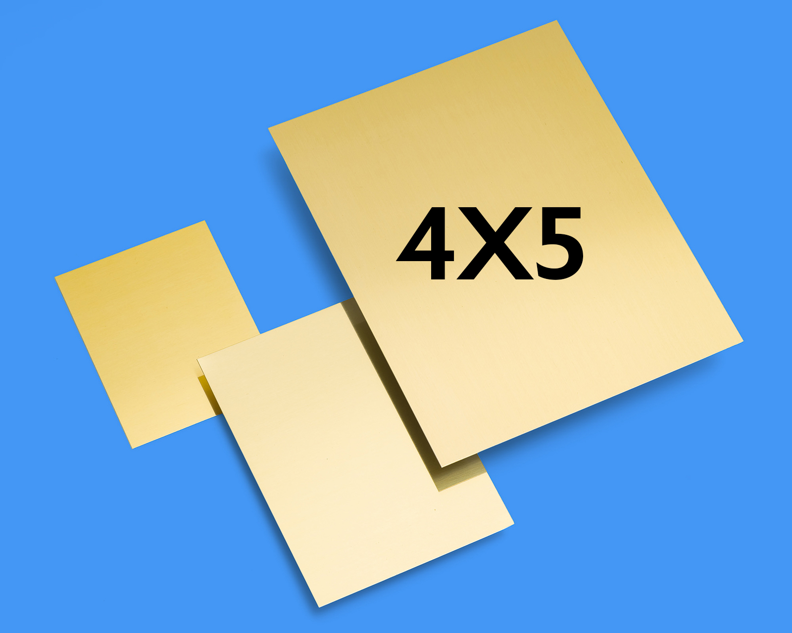 Zebra-Golden-Dry-Plate-Tintypes-4X5