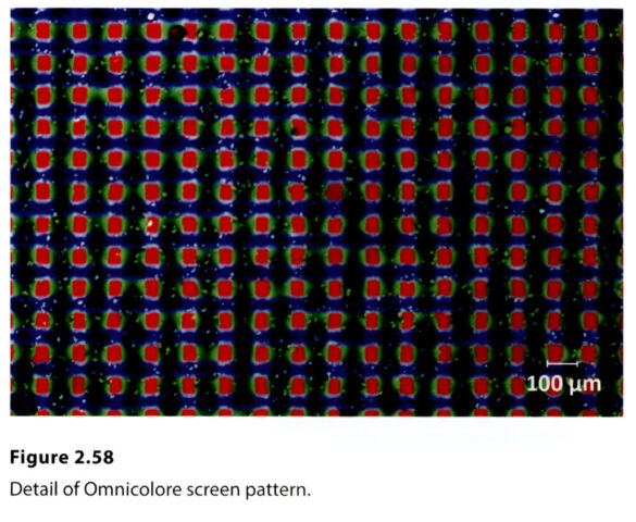 Penichon_Omnicolore_magnified