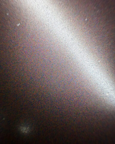 Zebra-Dry-Plates-Autochrome-10