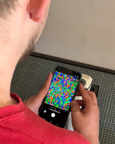 Zebra-Dry-Plates-Autochrome-7