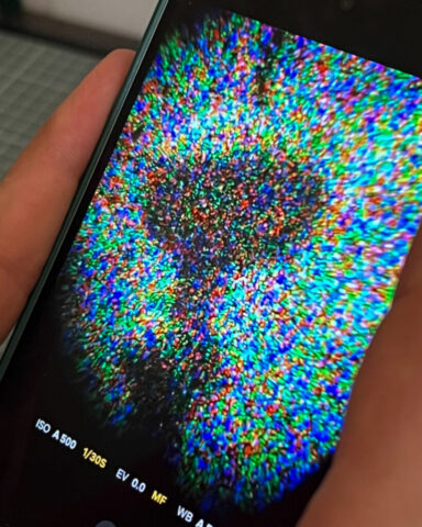 Zebra-Dry-Plates-Autochrome-8