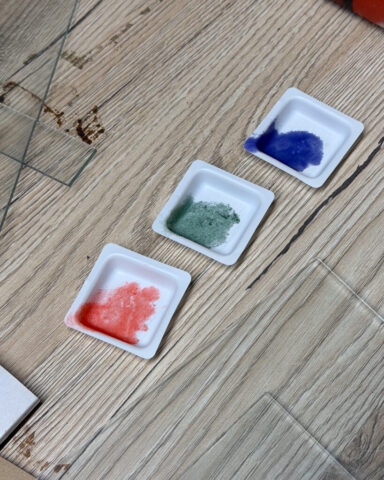 Zebra-Dry-Plates-Autochrome-9