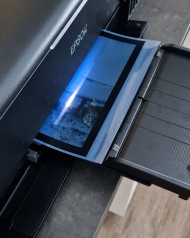 Contact-Printing-Ambrotype-Zebra-Standard-Glass-Dry-Plates-16