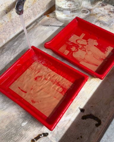 Contact-Printing-Ambrotype-Zebra-Standard-Glass-Dry-Plates-7